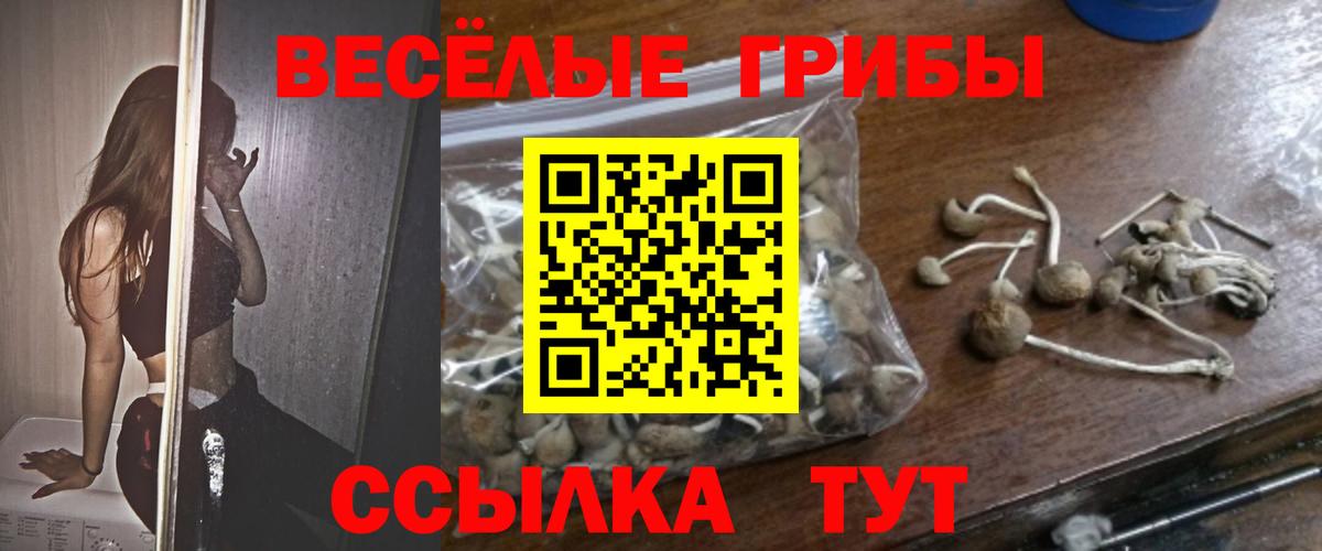 Галлюциногенные грибы Cubensis  Псилоцибиновые грибы мухоморы  Воткинск  Вход с VPN 